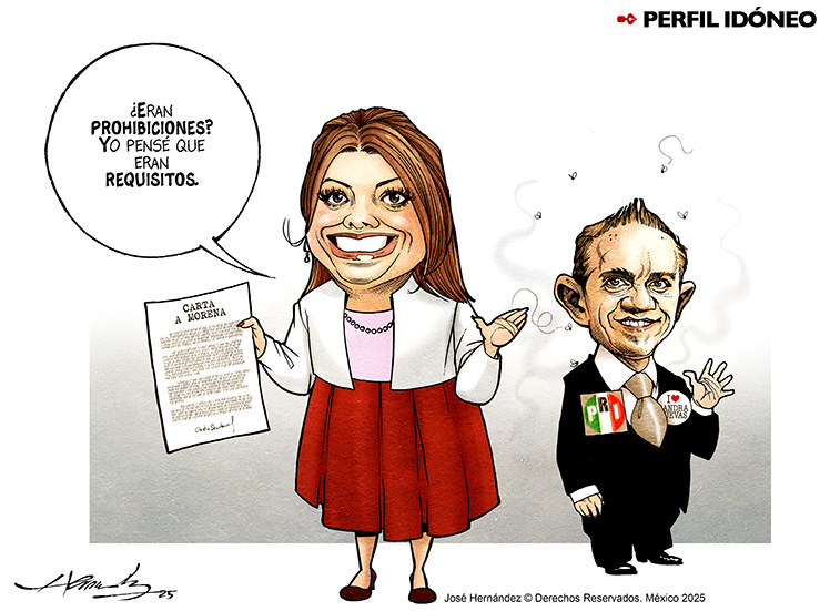 Perfil id&oacute;neo